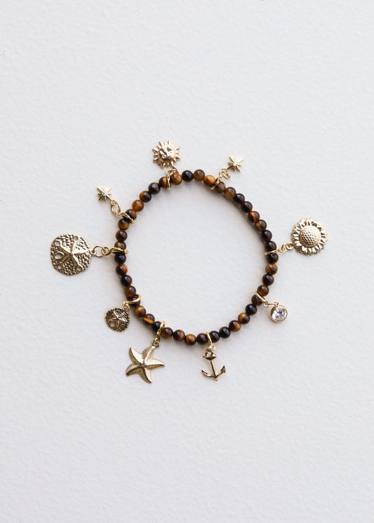 Polished Tiger's Eye || Adult Bracelet